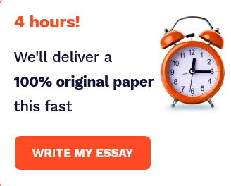 WRITE MY ESSAY